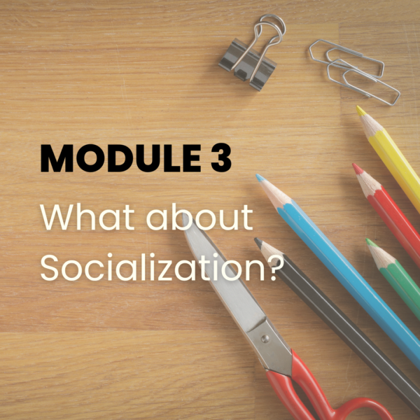 What about Socialization -Module 3