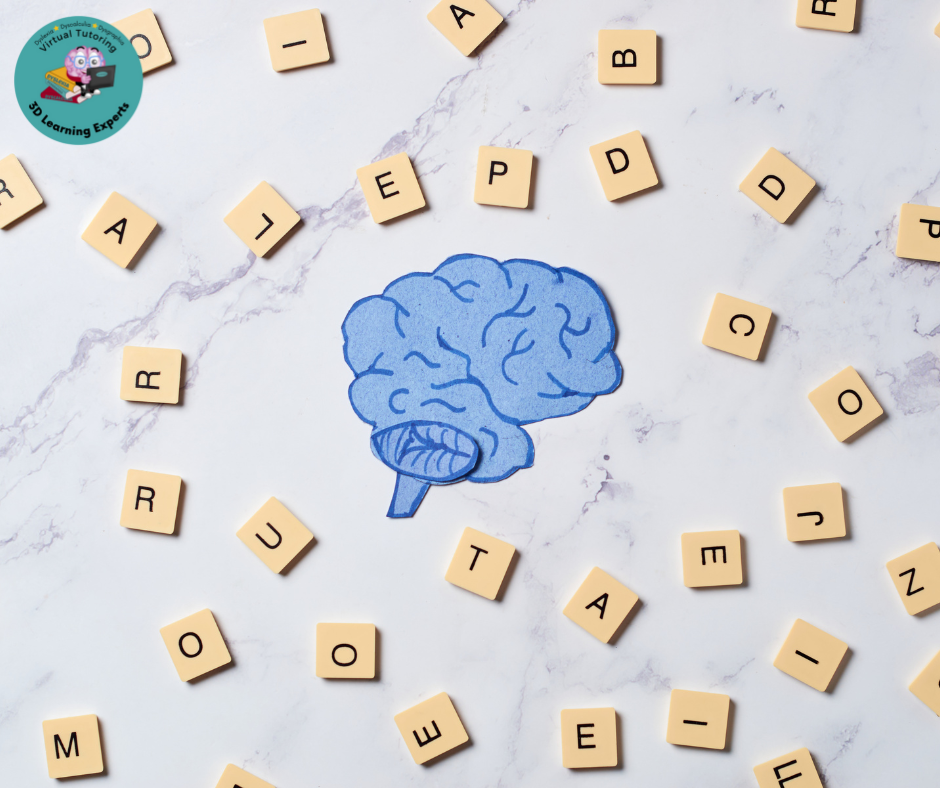 Everything You Need to Know About IEPs for Dyslexic Students