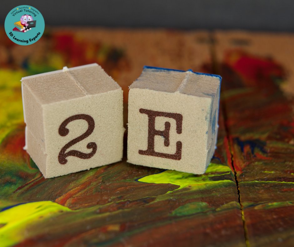 Understanding Twice-Exceptional (2e) Kids with Dyslexia: Supporting Their Bright Minds and Unique Challenges